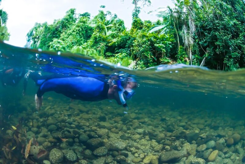 Mossman Gorge: Day Tour with River Drift Experience - FAQ
