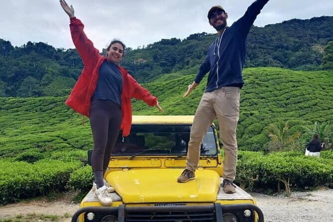 Mossy Forest in Brinchang Tour - Strawberry Picking at Raju Hill Strawberry Farm: A Sweet Break