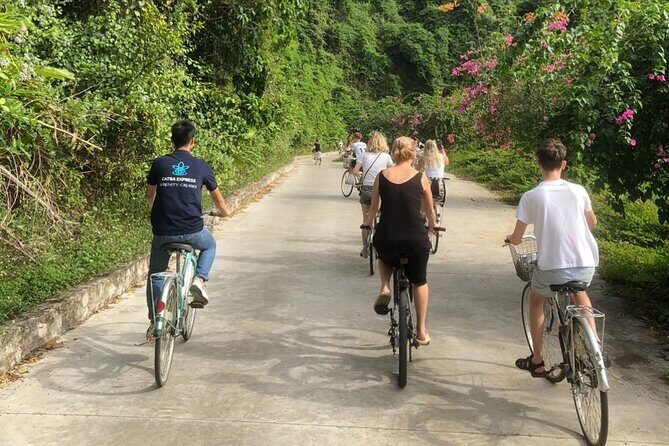 Most Luxurious & 5 Star Cat Ba - Lan Ha Bay Day Cruise from Hanoi - Who Should Book This Tour?