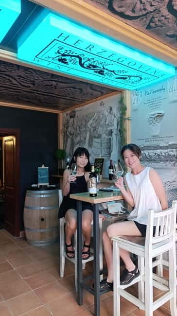 Mostar: Wine Tasting - Who Is This Tour Best For?