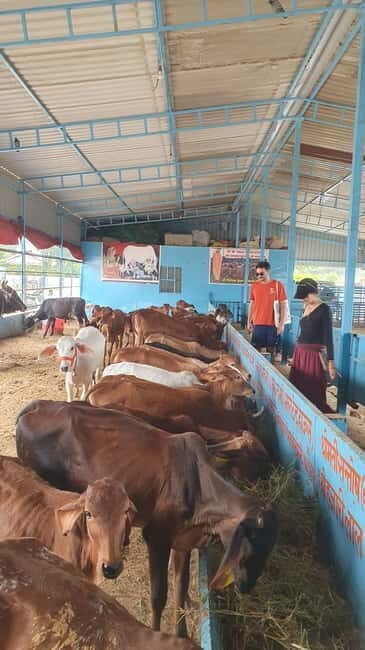 Motor bike ride to Baidhnath shiva temple and trekking - The Spiritual Significance and Cultural Highlights