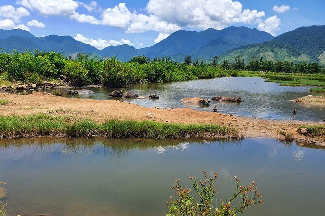 Motorbike Tour From Hue to Danang or Hoi An via Hai Van Pass - Final Thoughts