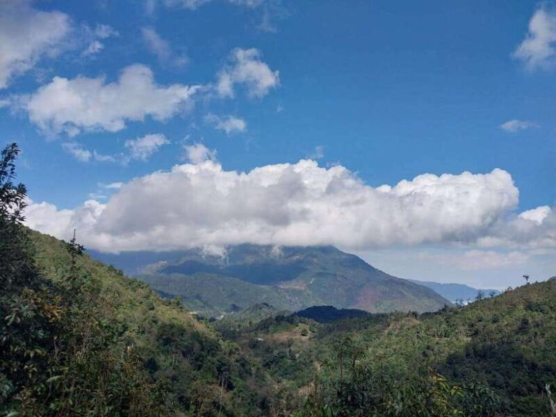 Motorbike Tour: Waterfall, Lonely Tree, and Green Tea Hill - Starting Point and Duration