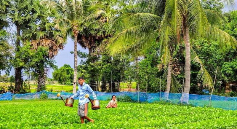 motos-tour-adventure-kulen-mountain