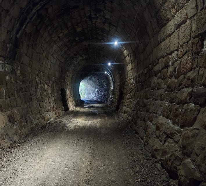 motovun-the-trail-of-giants-hiking-tour-fritule-tasting