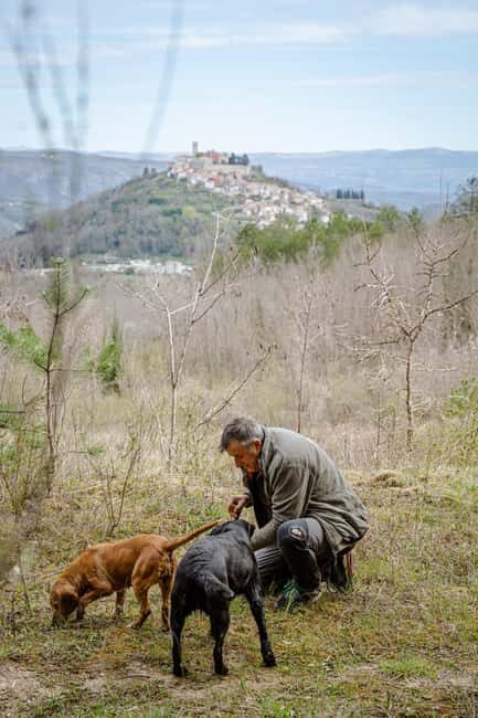 Motovun: Truffle Hunt & 3-Course Brunch with Locals - Who Is This Tour Perfect For?