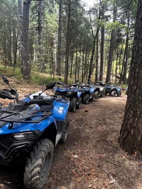 Motta Camastra: Gole Alcantara and Mount Etna Quad Tour - Key Points
