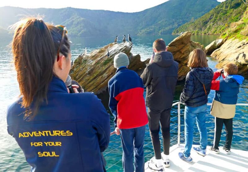 Motuara Island Sanctuary: Wildlife & Dolphin Watching Tour - An In-Depth Look at the Tour Experience