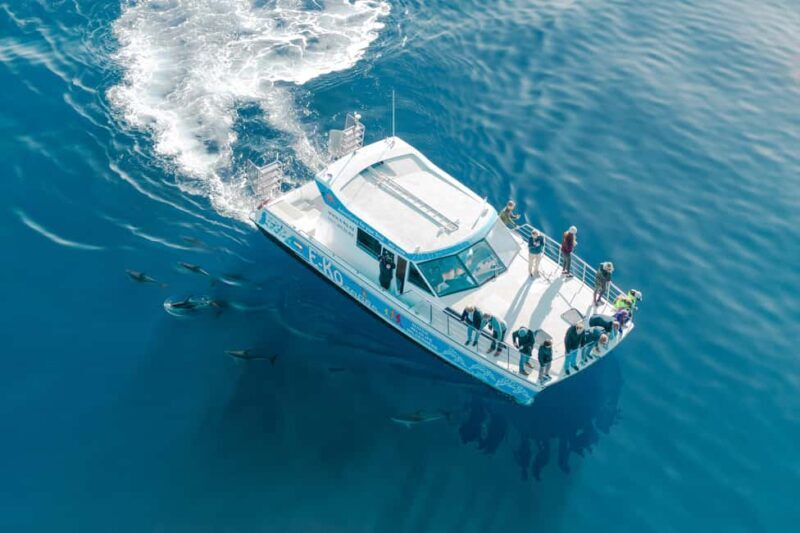 Motuara Island Sanctuary: Wildlife & Dolphin Watching Tour - Frequently Asked Questions