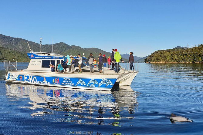 Motuara Wildlife Sanctuary Tour and Dolphin Cruise from Picton - The Value of the Experience
