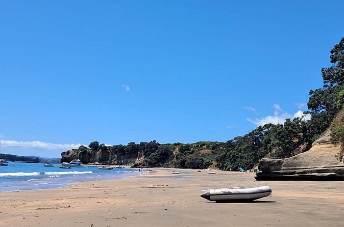 Motuihe Island Day Trip Ferry from Auckland - Authentic Insights from Reviewers