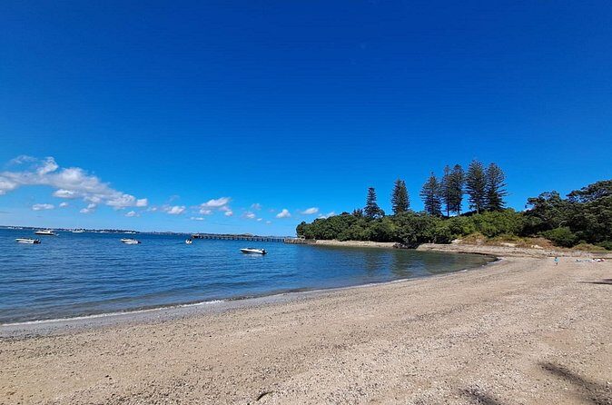 Motuihe Island Day Trip Ferry from Auckland - Who Should Consider This Experience?