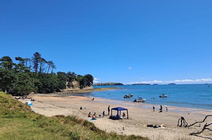 Motuihe Island Day Trip Ferry from Auckland - The Sum Up: Is It Worth It?