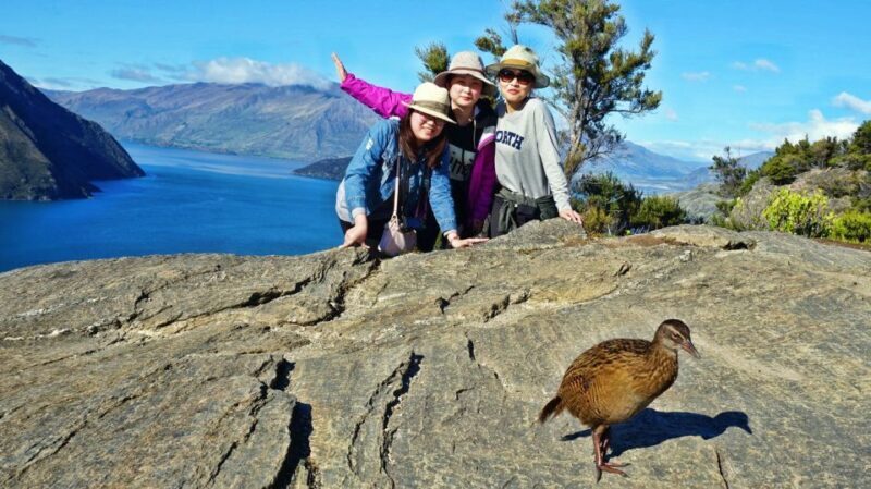 Mou Waho Island: 3-Hour Cruise and Guided Nature Walk - Authentic Experiences: What Travelers Are Saying