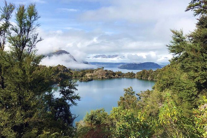 Mou Waho Island Cruise and Guided Nature Walk - Final Thoughts