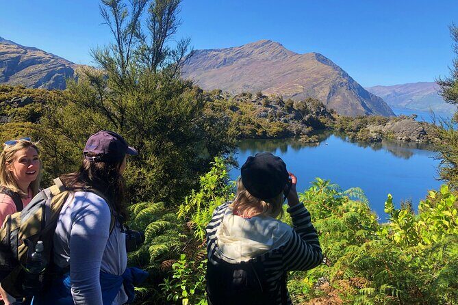 Mou Waho Island Cruise & Self-Guided Nature Walk - Return Cruise and Final Views