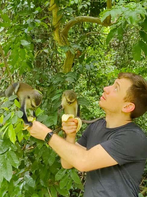 Mount Afadjato, Wli fall, and Tafi Atome Monkey Sanctuary - Key Points