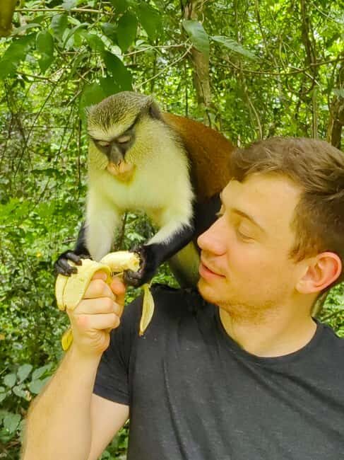 Mount Afadjato, Wli fall, and Tafi Atome Monkey Sanctuary - Who Will Enjoy This Tour Most?
