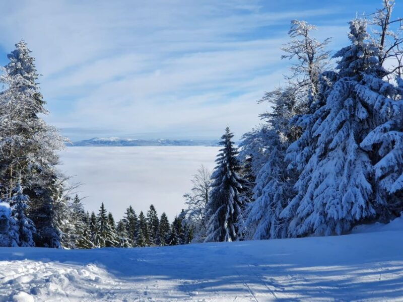 mount-arber-snowshoeing-in-the-bavarian-forest-guided-tour