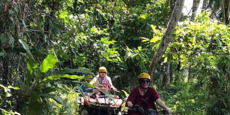 mount-batur-guided-atv-quad-bike-unesco-site-pine-forest