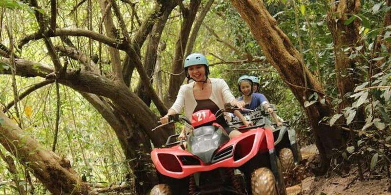 mount-batur-guided-atv-quad-bike-unesco-site-pine-forest