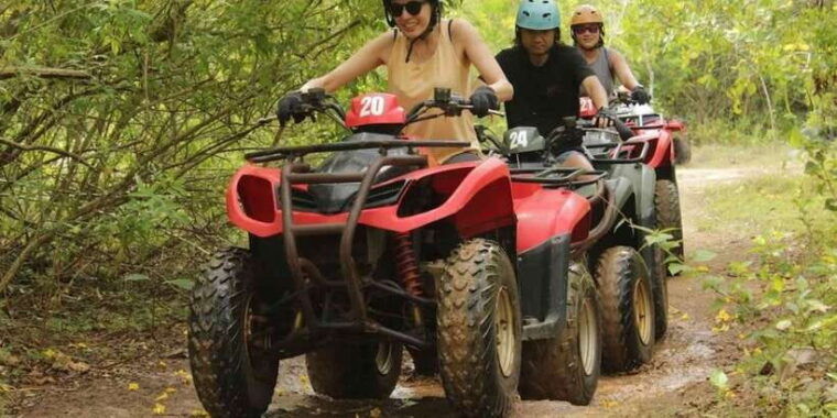 mount-batur-guided-atv-quad-bike-unesco-site-pine-forest