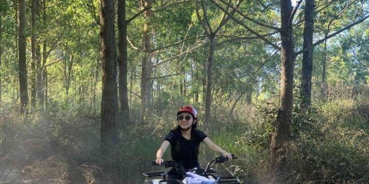 mount-batur-guided-atv-quad-bike-unesco-site-pine-forest