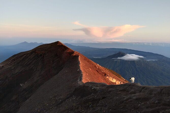 Mount Batur Sunrise Trekking, Hot Springs & Lunch at Restaurant - Practicalities: Timing, Cost, and Booking