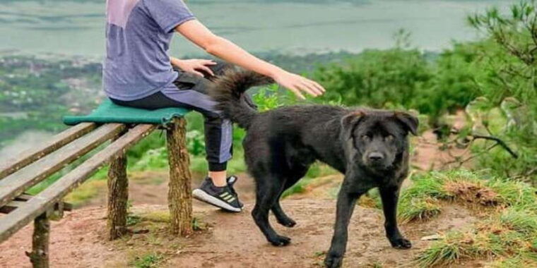 mount-batur-sunrise-trekking
