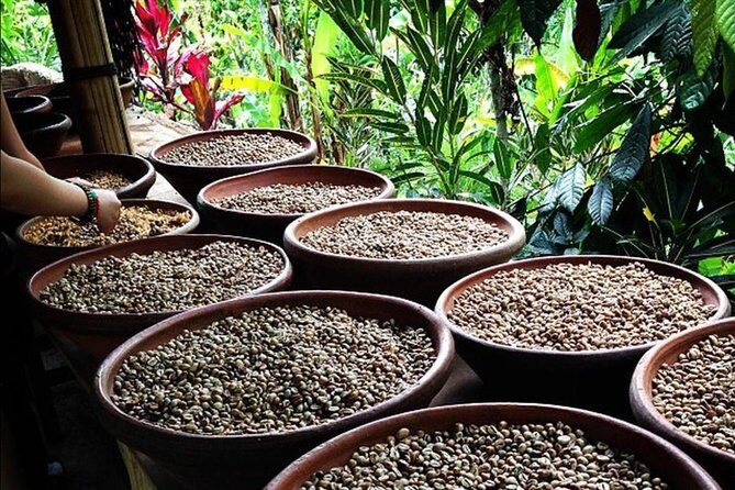 Mount Batur Sunrise Trekking with Natural Hot Springs - The Itinerary Breakdown: What You Can Expect