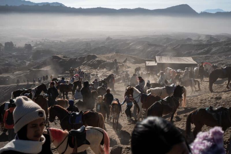 Mount Bromo and Madakaripura Waterfall Tour English Guide - An In-Depth Look at the Tour
