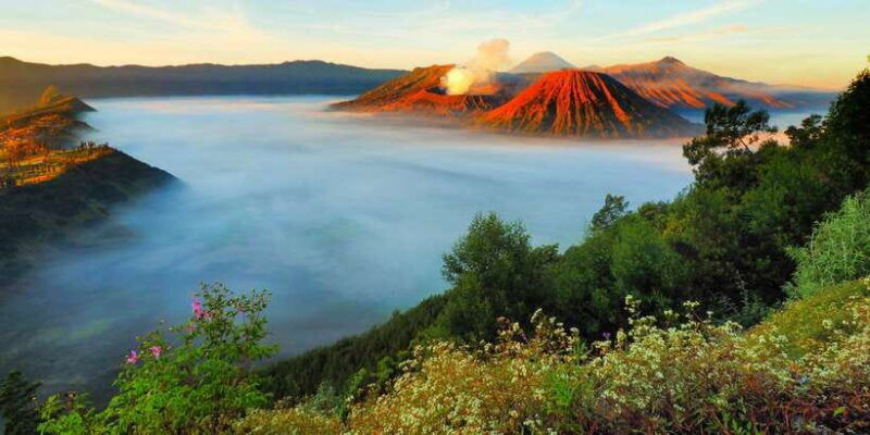 mount-bromo-ijen-and-blue-flames-3-day-tour-from-surabaya