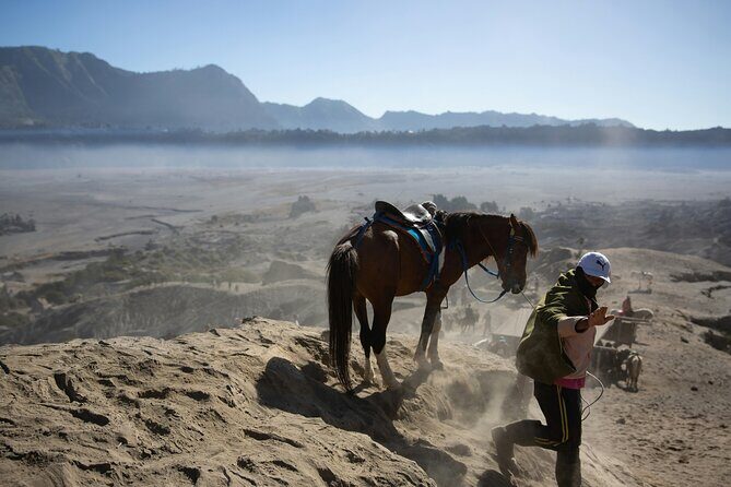 Mount Bromo Private Day Tour Experience Crater and Sunset Viewing - In-Depth Look at the Mount Bromo Private Day Tour