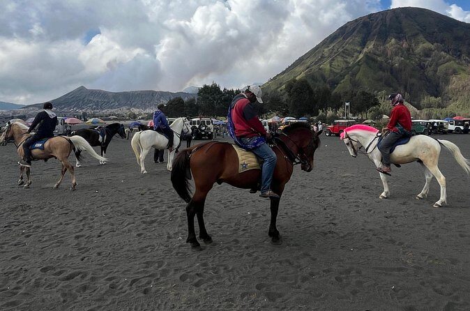 Mount Bromo Shared Sunrise Tour 1 day from Surabaya (sharing) - Who Will Love This Tour?