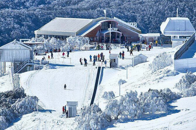Mount Buller Sightseeing Tour - Final Thoughts: Who is This Tour Perfect For?