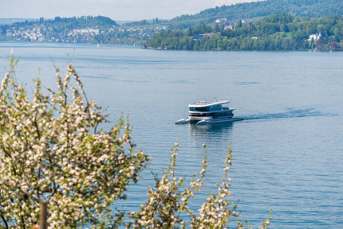 mount-burgenstock-independent-tour-from-lucerne