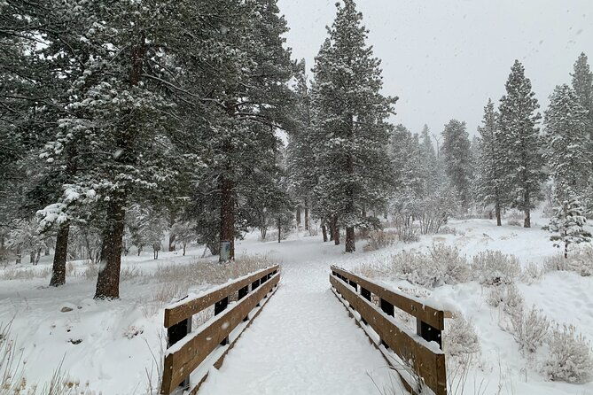 mount-charleston-guided-tour-2