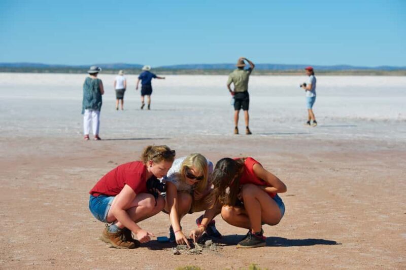 Mount Conner 4WD Small Group Tour from Ayers Rock - A Closer Look at the Mount Conner Small Group Tour