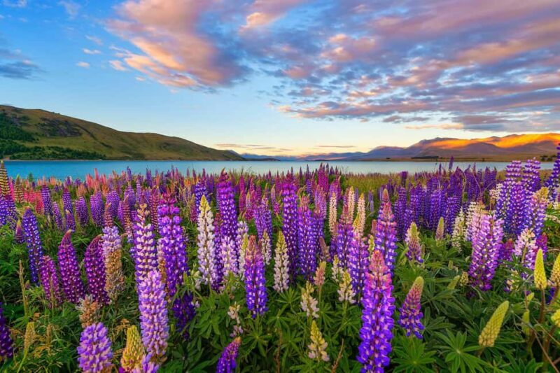 Mount Cook Day Tour from Christchurch - Frequently Asked Questions