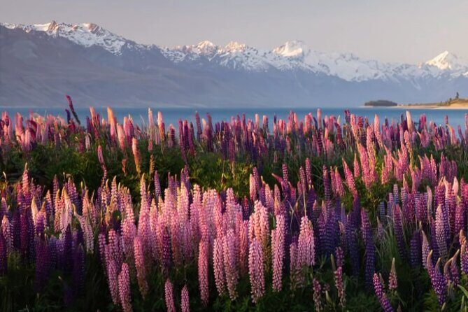 Mount Cook & Lake Tekapo Day Trip from Christchurch - Lake Pukaki and the Glacial Blues