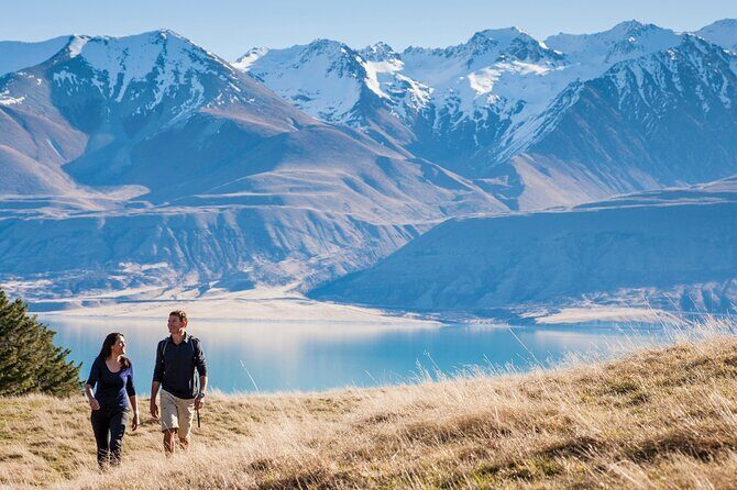 Mount Cook Small Group Scenic Tour - The Authenticity and Value of This Tour