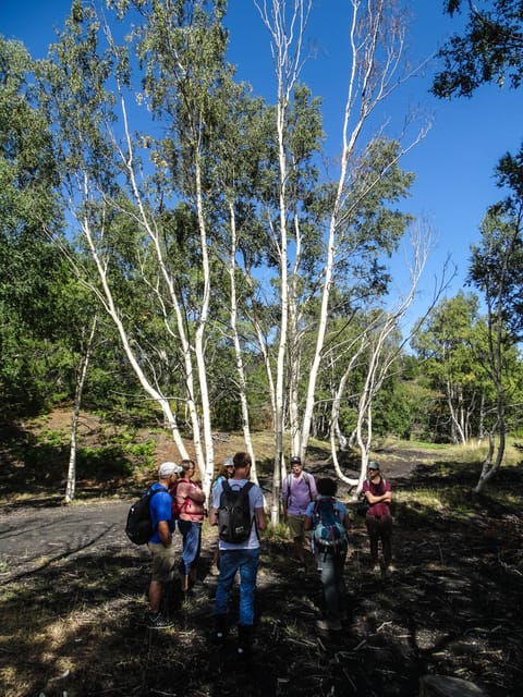 mount-etna-and-alcantara-gorges-day-trip