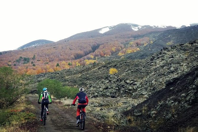 mount-etna-e-bike-half-day-tour