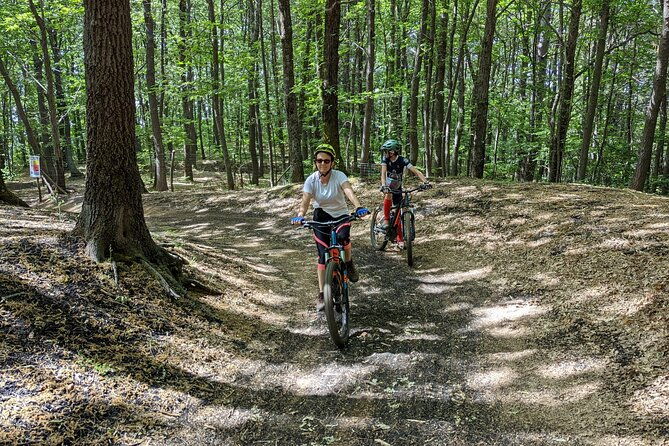 mount-etna-e-bike-half-day-tour