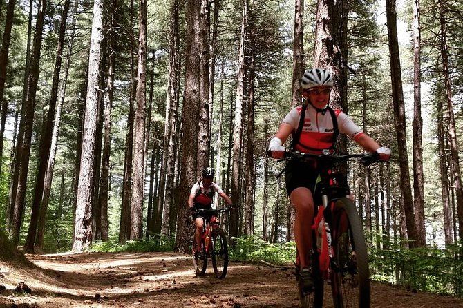 mount-etna-e-bike-half-day-tour