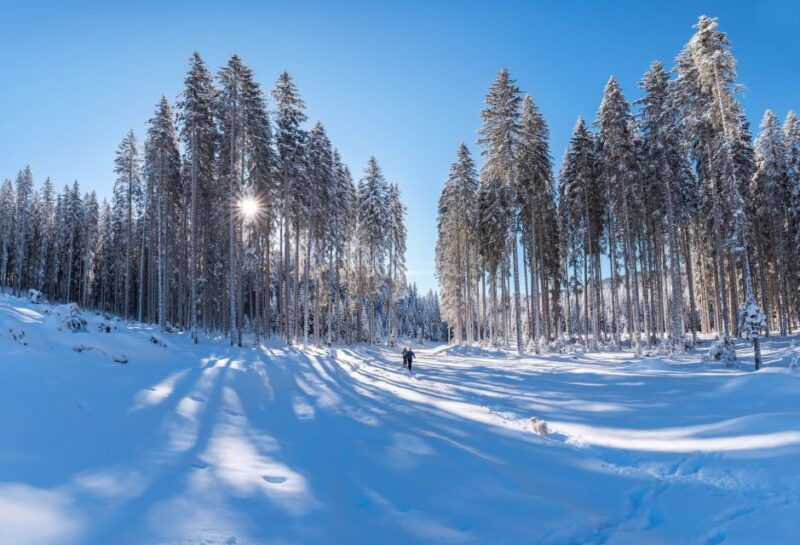 mount-etna-guided-snowshoeing-trekking-tour