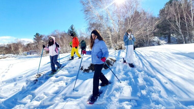 mount-etna-guided-snowshoeing-trekking-tour