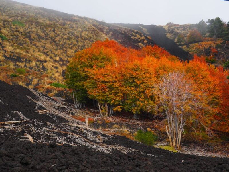 mount-etna-trek-to-the-craters-of-the-2002-eruption