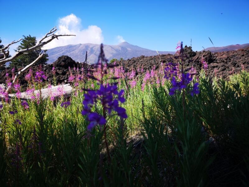 mount-etna-trek-to-the-craters-of-the-2002-eruption