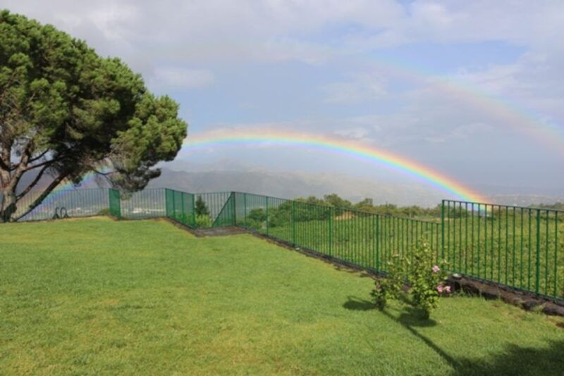 mount-etna-winery-tour-and-tasting